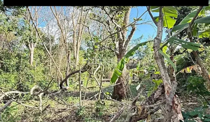 Tanah Buc Di.nusa.dua.lokasi.dekat Hotel.mewah