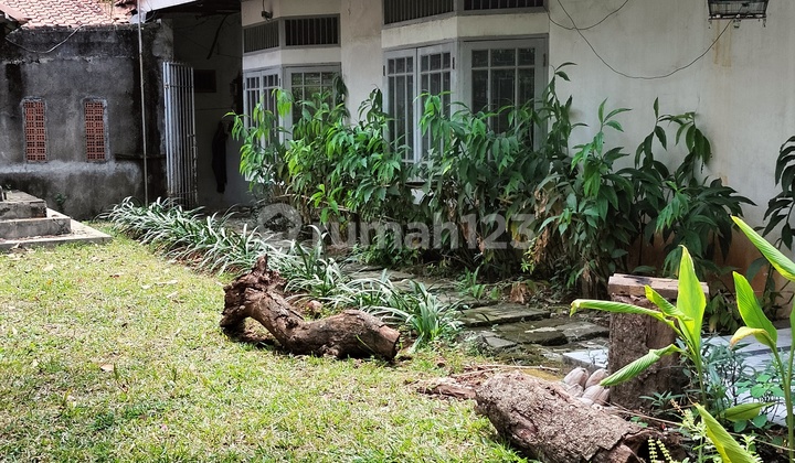 JUAL RUMAH LAMA MENTENG HITUNG TANAH 2