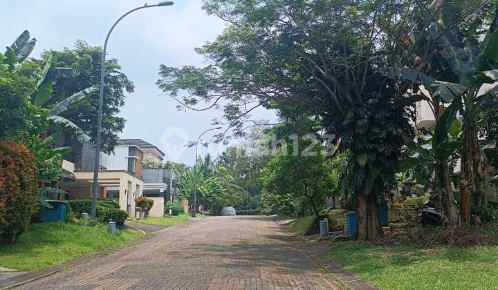 The green Mirage bsd 