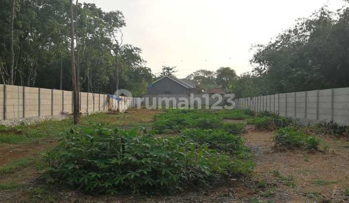 Dijual Tanah 2000M2 di Kadusirung Tangerang Dekat Pusat Bsd Dijual Tanah 2000M2 di Kadusirung Tangerang Dekat Pusat Bsd
