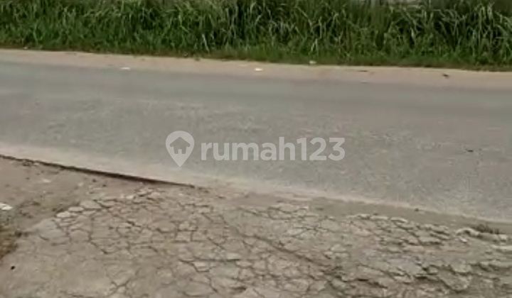 Jual Cepat Tanah di Cisauk Rumpin Pinggir Jalan Cisauk Tangerang Jual Cepat Tanah di Cisauk Rumpin Pinggir Jalan Cisauk Tangerang