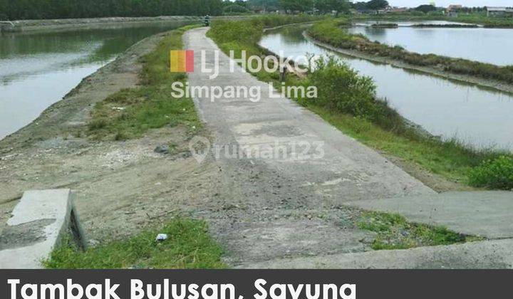 Dijual Tanah Tambak Bulusan Karangtengah Sayung Demak 1