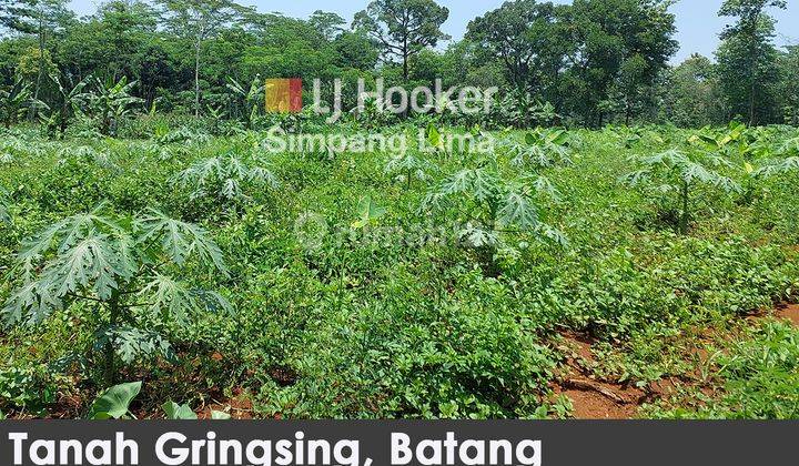 Tanah Siap Bangun Murah Di Gringsing Batang  1