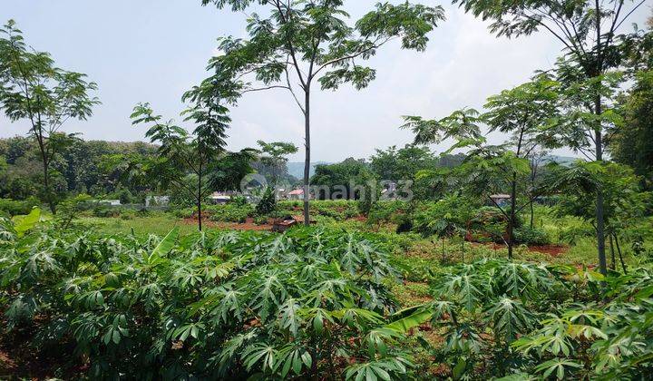 Tanah di Desa Gringsing, Batang Cocok Dibangun Gudang Produksi 2