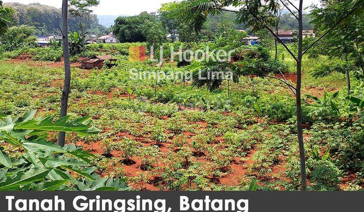 Tanah di Desa Gringsing, Batang Cocok Dibangun Gudang Produksi 1