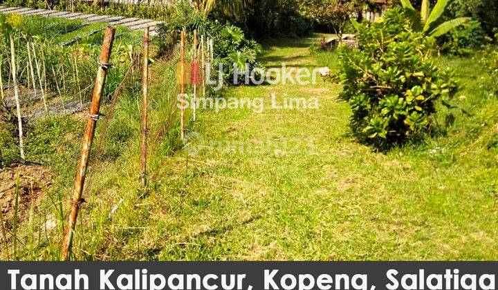 Tanah di Kalipancur Kopeng Salatiga View Gunung Telomoyo 1