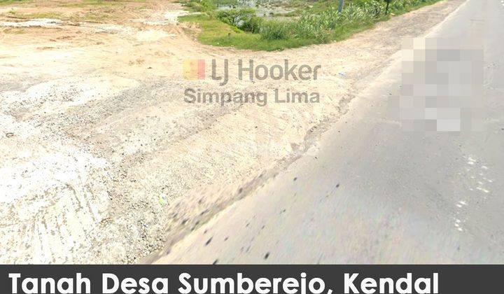 Tanah di Desa Sumberejo Kendal Jawa Tengah Cocok Dibangun Pabrik 1