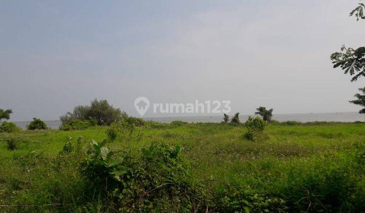 Tanah di Kawasan Industri Wijaya Kusuma Randugarut Tugu Semarang 2