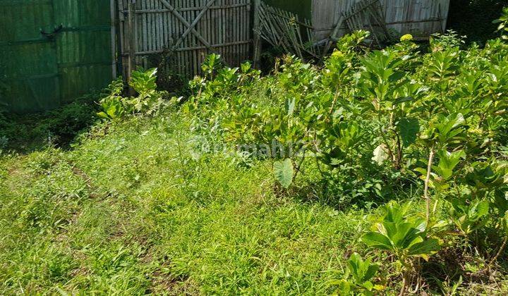 Tanah Murah Dijual di Lingkungan Padat Penduduk Bumiaji Kota Batu 2