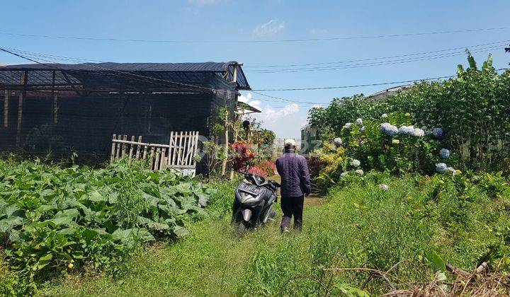 Tanah Murah Dijual di Lingkungan Padat Penduduk Bumiaji Kota Batu 3