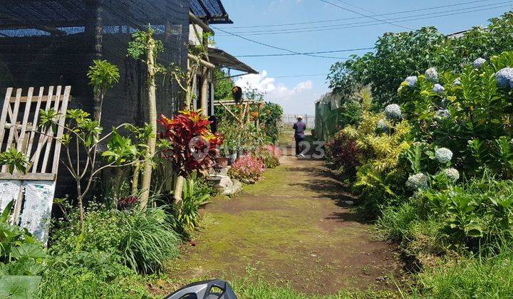 Tanah Murah Dijual di Lingkungan Padat Penduduk Bumiaji Kota Batu 4