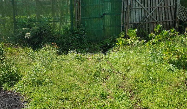 Tanah Murah Dijual di Lingkungan Padat Penduduk Bumiaji Kota Batu 5