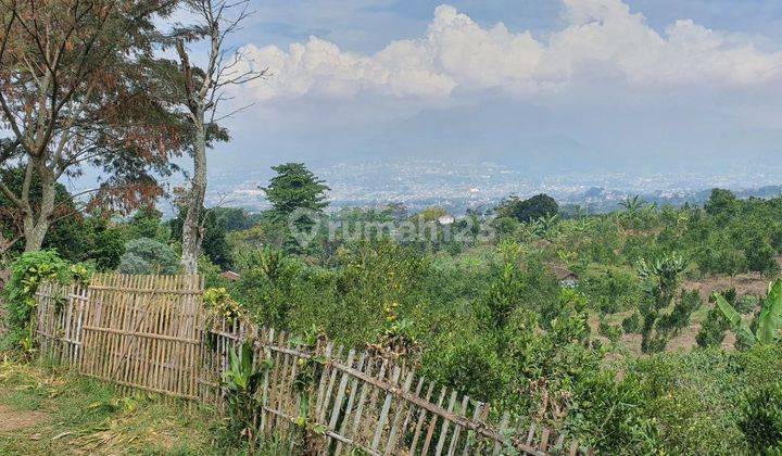Dijual Kebun Jeruk Murah di Kota Batu Malang 1
