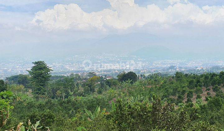 Dijual Kebun Jeruk Murah di Kota Batu Malang 3