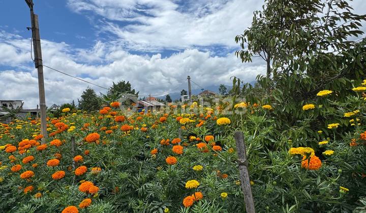 Vacant Land in Batu City Ready to Build