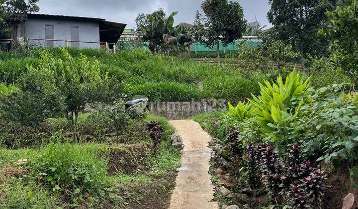 Tanah Murah di Kampung Wisata Kungkuk Bumiaji Batu 1