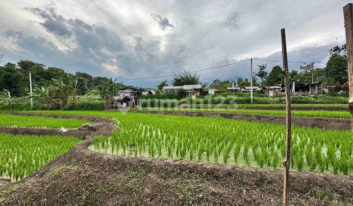 Dijual Tanah Premium - Poros Jalan Wisata Kota Batu ⛰️ Dijual Tanah Premium - Poros Jalan Wisata Kota Batu ⛰️