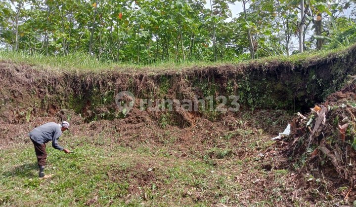 Dijual Lahan Strategis - Tajinan Malang Dijual Lahan Strategis - Tajinan Malang