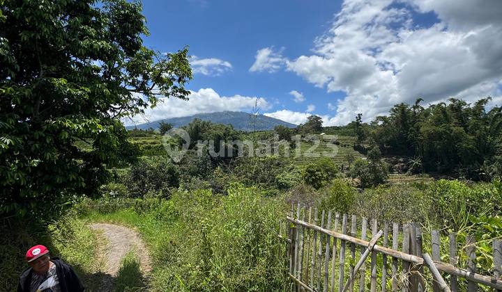 Garden Land Area Water Source Bumiaji Batu City