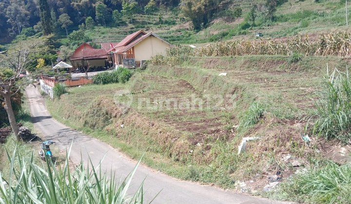 Special Price Reduction, Land on Road Axis with Abundant Water Springs in Batu City