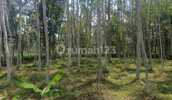 For Sale Flat Land Ready to Build Malang Regency