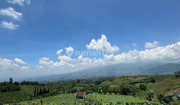 Tanah di Atas Puncak Bukit Sumbergondo Batu.  1