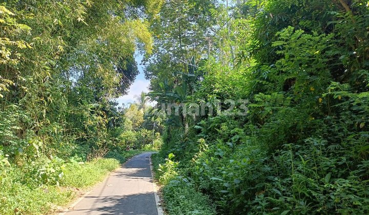 Dijual Tanah Strategis Dalam Kota Malang!