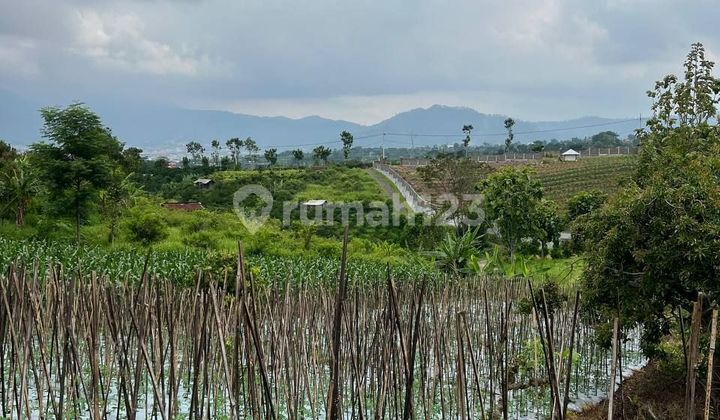 Tanah Hunian Villa Konsep Kebun Murah di Bumiaji Kota Batu