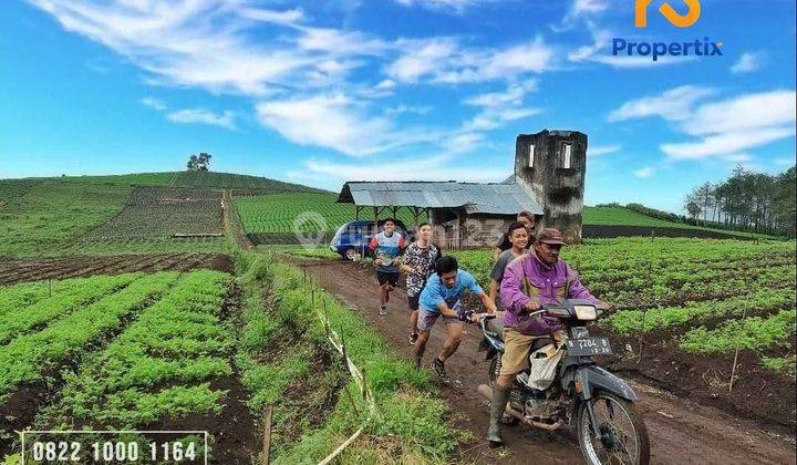 Lahan Super Istimewa Cocok Buat Wisata SHM Split 42 Surat  2