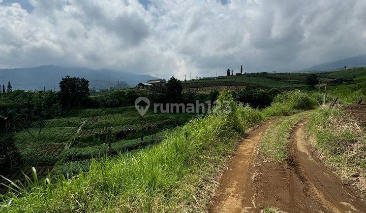 Tanah Perkebunan Apel Jurang Kuali Batu Lokasi Strategis 1