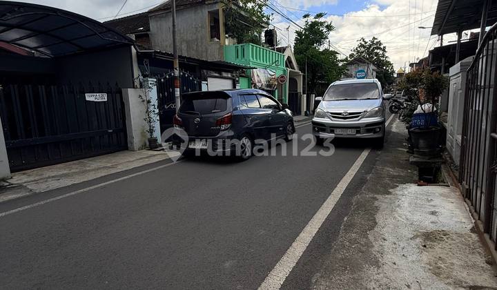 Aset Emas Kumis Kucing - 600M Dari Suhat Malang! 2