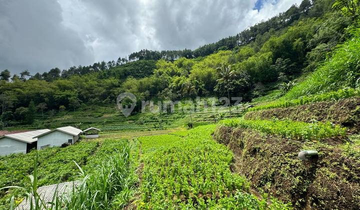 For Sale Cheap Land on Road Axis in Gunungsari Bumiaji, Quick Sale