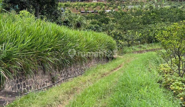 Tanah Murah di Kampung Wisata Kungkuk Bumiaji Batu 2