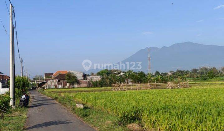 Dijual Tanah Sawah Pertanian Poros Jalan di Karangploso Malang 1