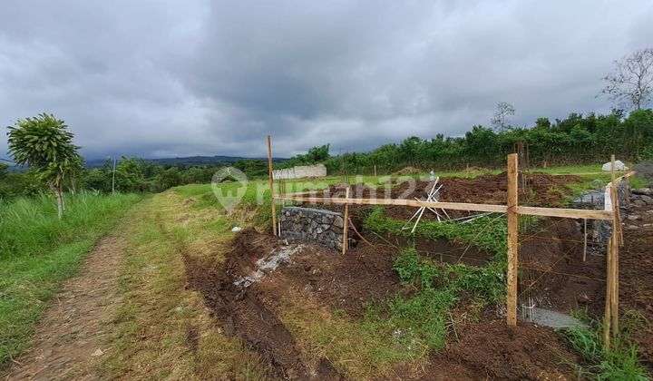 Special Price! Kavling Murah Dekat Baloga - Kota Batu Special Price! Kavling Murah Dekat Baloga - Kota Batu