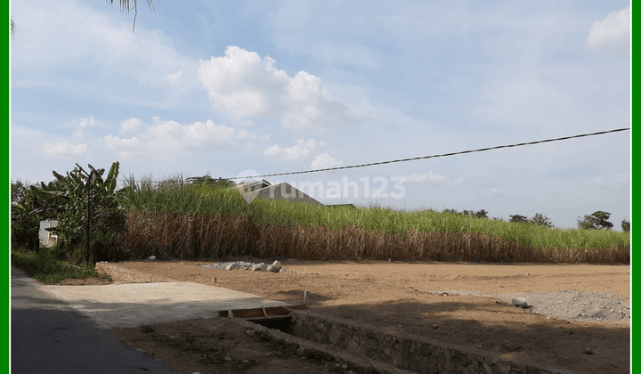 Harga 900 Ribu Kapling Perumahan Dekat Jl. Raya Ciseeng  1