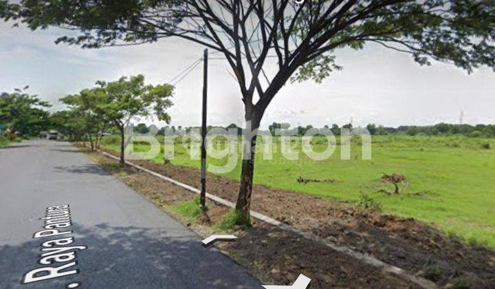 TANAH ZONA INDUSTRI DI RAYA PANTURA TUBAN  1