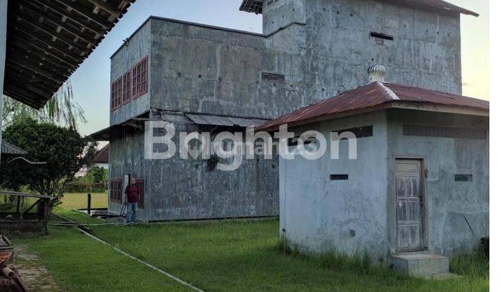 RUMAH BURUNG WALET PRODUKTIF DI JL PATIH JELANTIK BALI 2