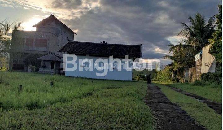 RUMAH BURUNG WALET PRODUKTIF DI JL PATIH JELANTIK BALI 1