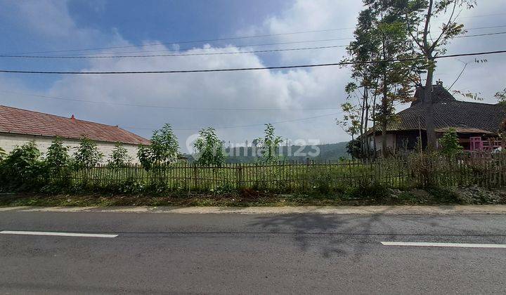 Dijual Tanah Kebun Luas di Gubuk Klakah Arah Bromo Malang 1