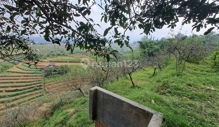 Dijual Tanah Kebun Apel di Jalan Tulungrejo Kota Batu View Bagus Strategis 2