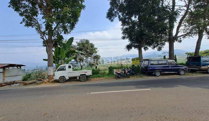 Dijual Tanah Kebun Apel di Jalan Tulungrejo Kota Batu View Bagus Strategis 1