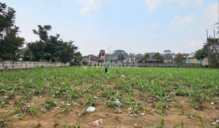 Tanah Siap Bangun Harga Terjangkau di Pakis Malang 2