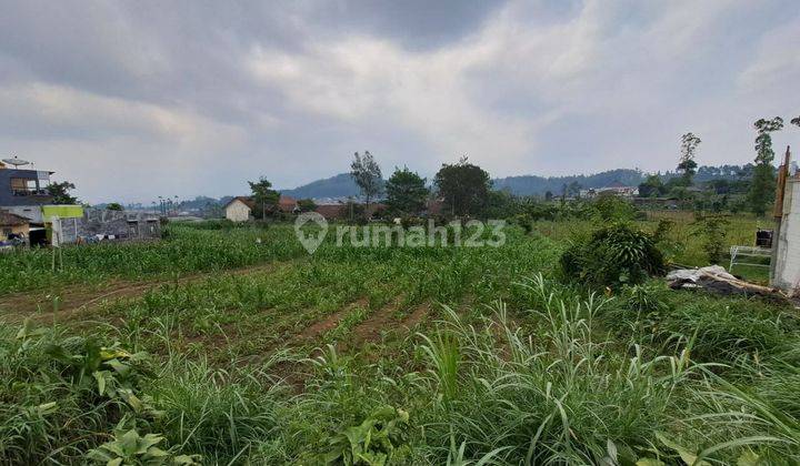 Dijual Tanah Kebun Luas di Jalan Raya Pujon Kota Batu Cocok Untuk Komersil 2