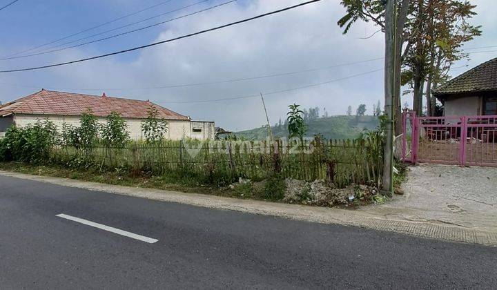 UPDATE HARGA DIJUAL TANAH KEBUN COCOK BUAT KOMERSIAL DI GUBUK KLAKAH G.BROMO, MALANG 1