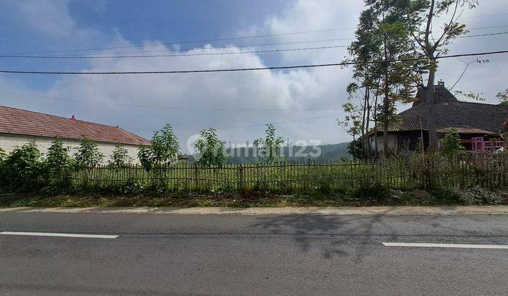 UPDATE HARGA DIJUAL TANAH KEBUN COCOK BUAT KOMERSIAL DI GUBUK KLAKAH G.BROMO, MALANG 2