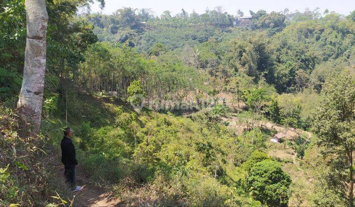 Tanah Luas Murah di Poncokusumo Tumpang Malang 2