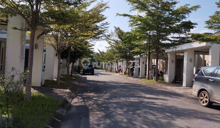 Dijual Rumah Orchard Park Cluster Carica Siap Huni  2