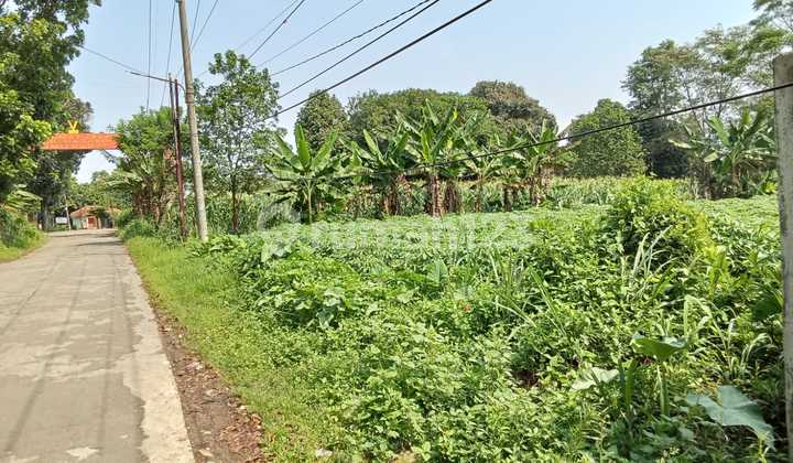 Dijual Murah Tanah Di Tajur Halang Dekat Stasiun Bojonggede