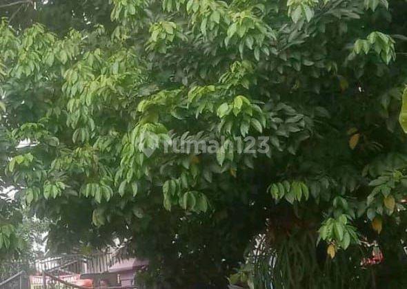 Dijual Murah Tanah Di Jl Nempel Dengan Jl Margonda Raya 2